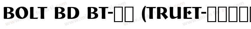 Bolt Bd BT-常规 (TrueT字体转换